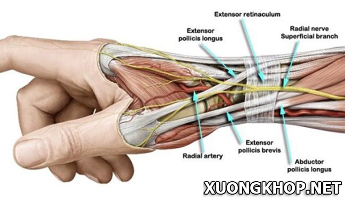 Viêm khớp cổ tay có nguyên nhân, triệu chứng và cách chữa trị như thế nào? 2