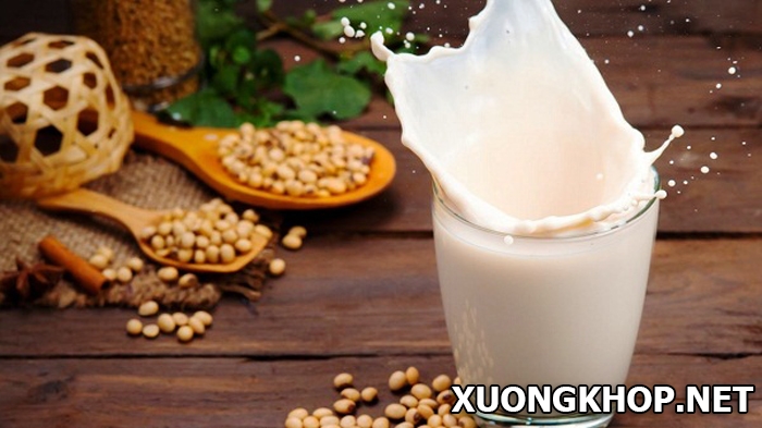 Thoái hóa cột sống nên uống sữa gì? Sữa đậu nành, sữa bò, sữa tươi, sữa chua dùng được không? 1