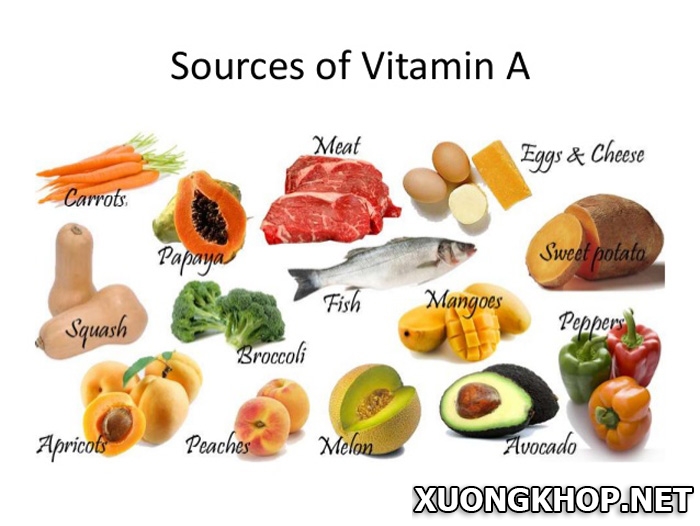 Các vitamin cần thiết giúp phòng và chữa vôi hóa cột sống 1