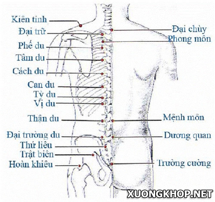  Để chữa đau lưng tức nên học cách ấn 3 huyệt đạo này trên cơ thể 1