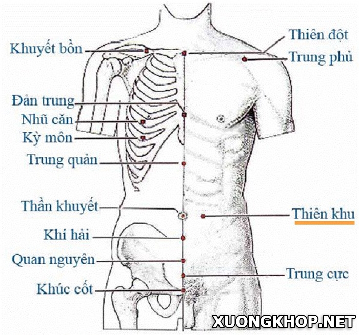  Để chữa đau lưng tức nên học cách ấn 3 huyệt đạo này trên cơ thể 2
