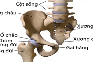 Đau lưng đau xương chậu là dấu hiệu của những bệnh nào?