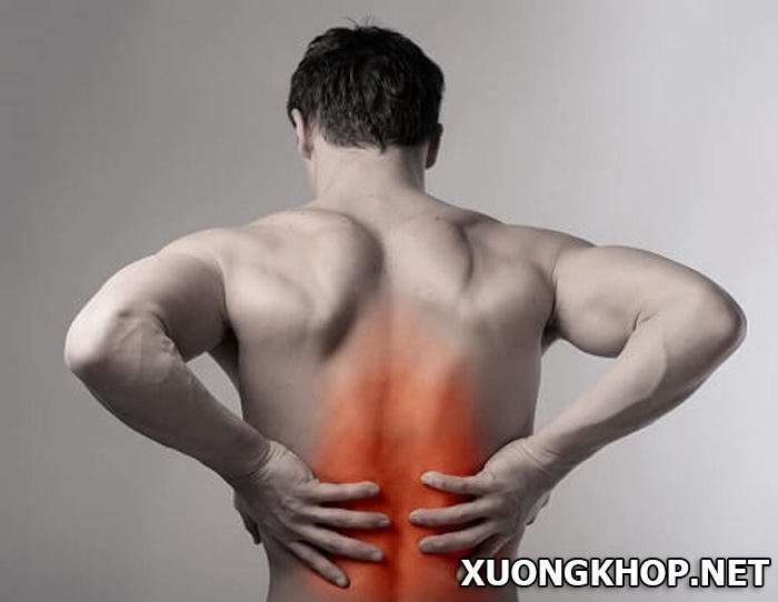 Nguyên nhân và cách điều trị bệnh đau lưng giữa. 1