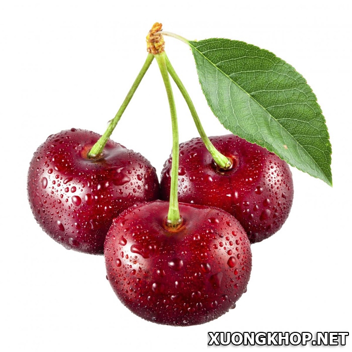 Ăn trái cherry có loại bỏ được bệnh gout không? Tại sao? 1